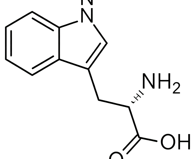 L-色氨酸产品图