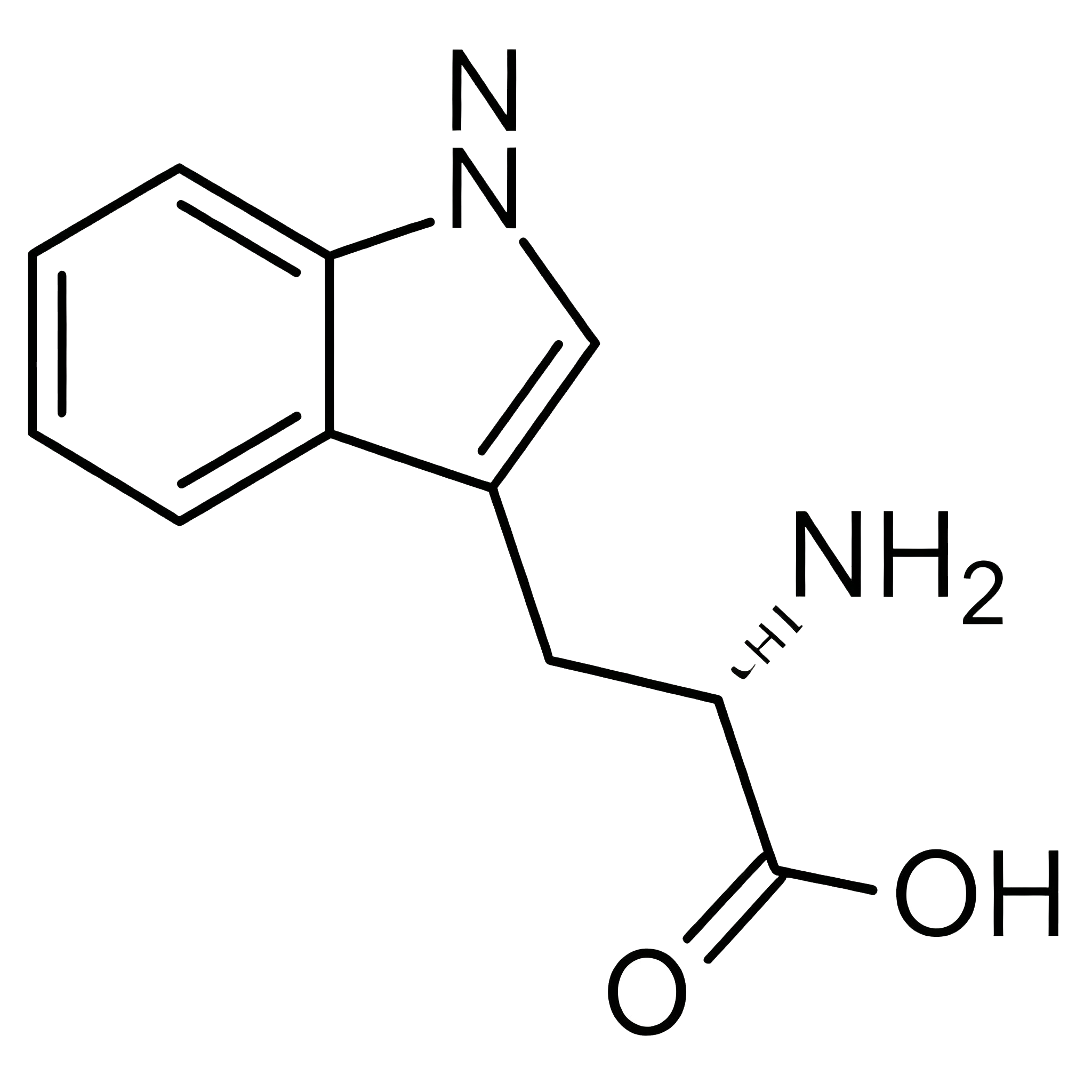 L-色氨酸产品图